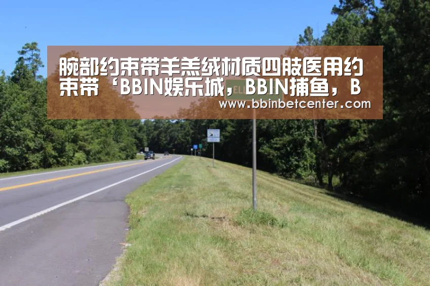 腕部约束带羊羔绒材质四肢医用约束带‘BBIN娱乐城,BBIN捕鱼,BBIN入口,BBIN百家乐’(图1) BBIN娱乐城,BBIN捕鱼,BBIN入口,BBIN百家乐