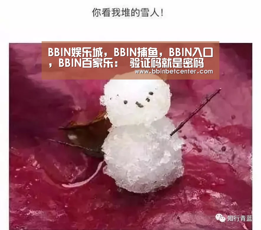 BBIN娱乐城，BBIN捕鱼，BBIN入口，BBIN百家乐