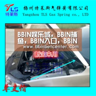 BBIN娱乐城，BBIN捕鱼，BBIN入口，BBIN百家乐